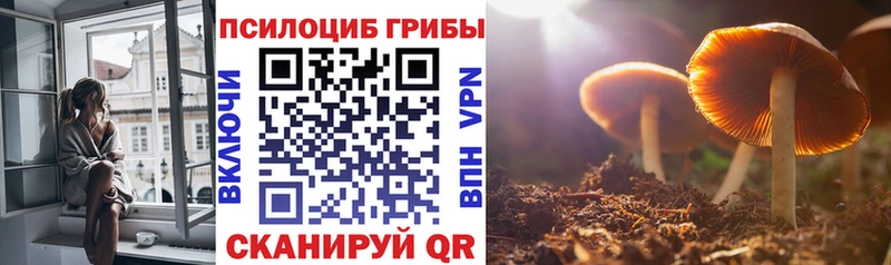 Купить закладки  Ленск  Псилоцибиновые грибы мухоморы 